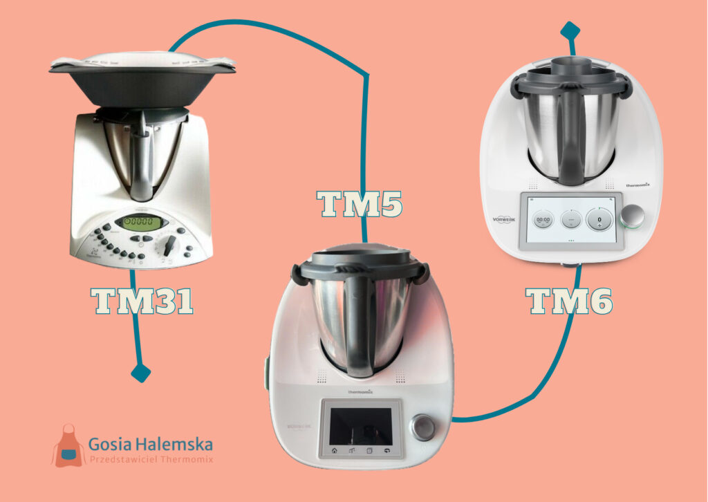 modele thermomix tm31, tm5 i tm6